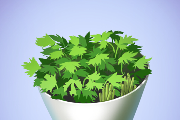 �������ЩӪ����ֵ ��˵Ĺ�Ч��������ʲô